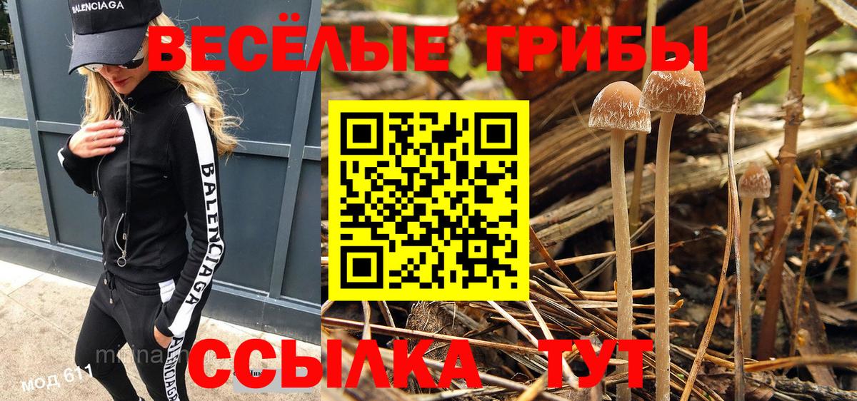 Псилоцибиновые грибы Psilocybine cubensis Альметьевск