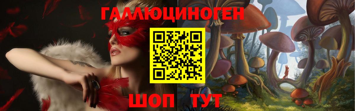 Альметьевск  Галлюциногенные грибы прущие грибы  Вход с VPN  Галлюциногенные грибы GOLDEN TEACHER 